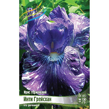 Ирис Германский Инти Грейсхан I 1 шт