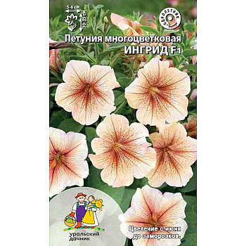 Петуния Ингрид Марс Ц 