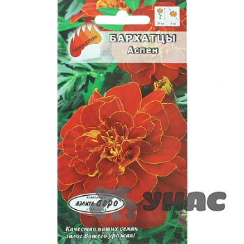 Бархатцы Аспен красный Аэлита Ц 