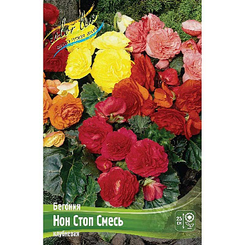 Бегония Нон Стоп Смесь 5/6 50 шт Шоу-Бокс 8856