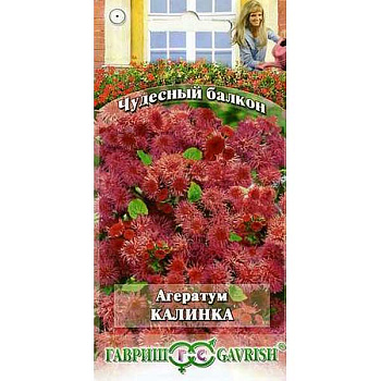 Агератум Калинка  Гавриш Ц 