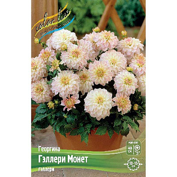 Георгина Гэллери Монет I 1 шт