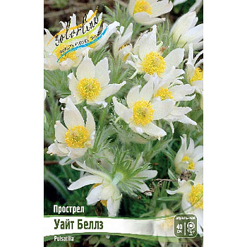 8591 Биг-Пак Прострел Уайт Беллз I 25 шт