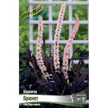 8434 Биг-Пак Клопогон Брюнет I 25 шт 