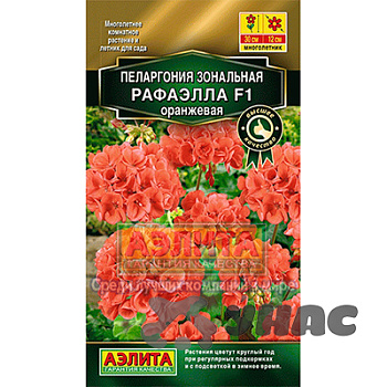 КОМ Пеларгония Рафаэлла оранжевая Аэлита Ц 