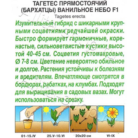 Бархатцы Ванильное небо Аэлита Ц 