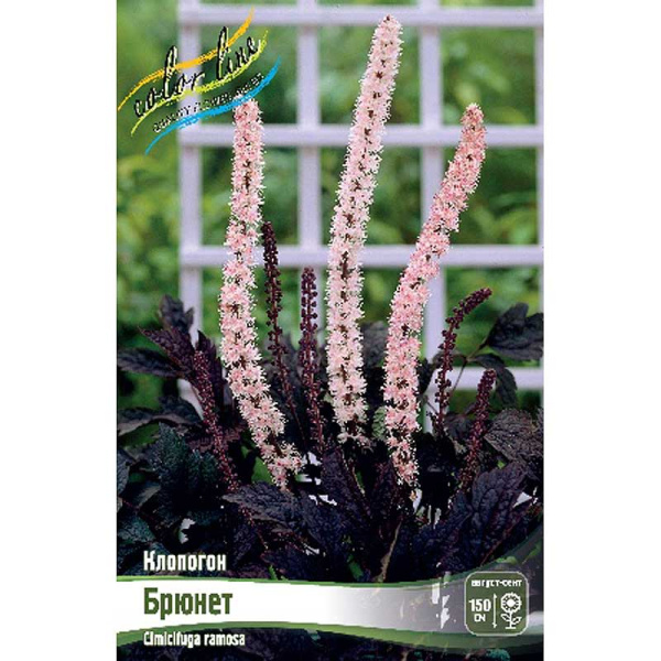 8434 Биг-Пак Клопогон Брюнет I 25 шт 