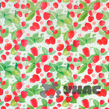 Клеенка тканая основа 125*25м 1 сорт 106/0 (клубника) Тверь