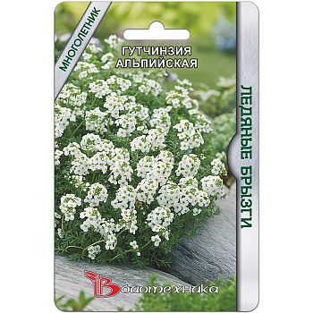 Гутчинзия Ледяные брызги альпийская Биотехника Ц 