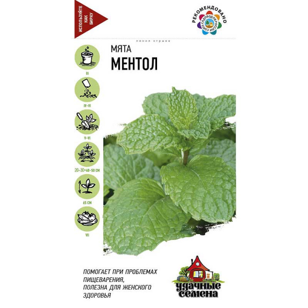 Мята садовая Ментол Удачные семена Гавриш Ц