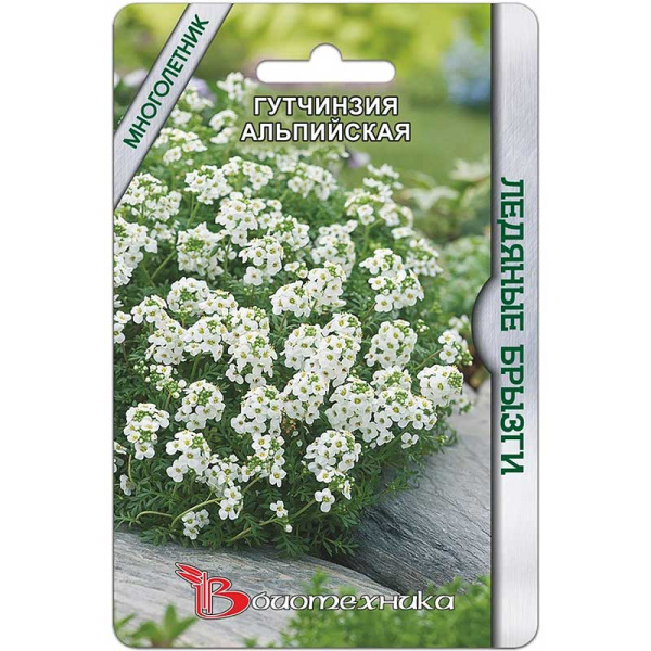 Гутчинзия Ледяные брызги альпийская Биотехника Ц 