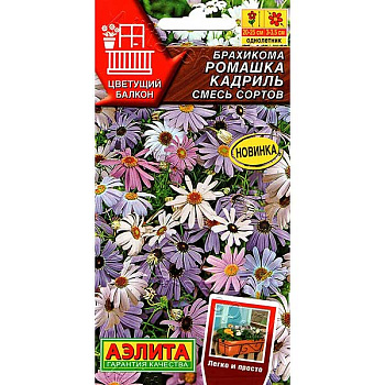 Брахикома Ромашка кадриль Аэлита Ц 