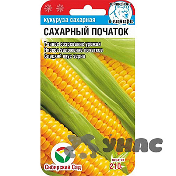 Кукуруза Сахарный початок СибСад Ц