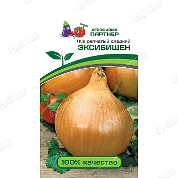 Лук Эксибишен Партнер Ц