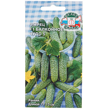 Огурец Балконное чудо 5 Седек