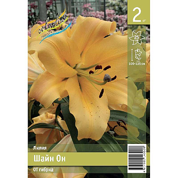 Лилия Шайн Он 14/16 2 Эконом шт 