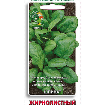 Шпинат Жирнолистный Поиск Ц