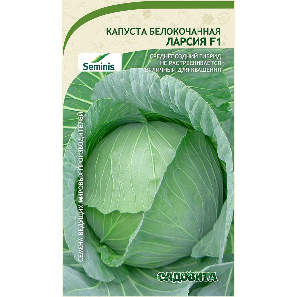 Капуста Ларсия белокочанная F1 10 шт Seminis/Садовита Ц