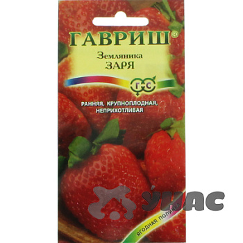 Земляника Заря Гавриш Ц Земляника Заря Гавриш Ц
