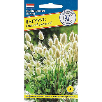 Лагурус Заячий хвостик Престиж Ц х10 