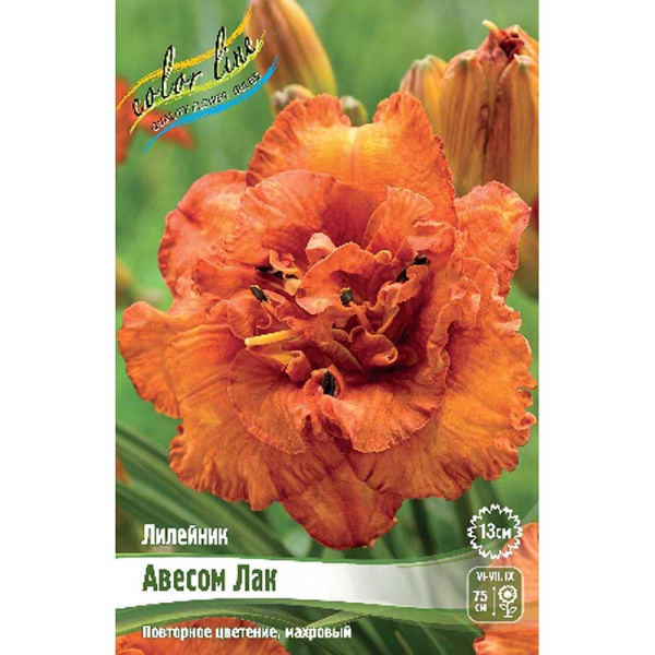 Лилейник Авесом Лак I 25 шт Биг-пак 13423