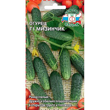 Огурец Мизинчик Седек Ц