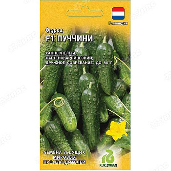 Огурец Пуччини Гавриш Ц
