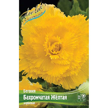 Бегония Бахромчатая Желтая 5/6 50 шт Шоу-бокс 8804