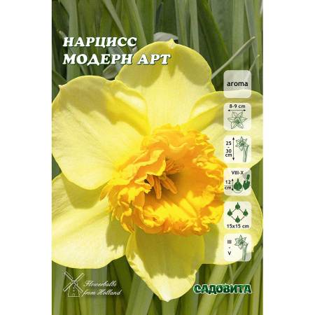 Нарцисс Модерн Арт 12/14 3 шт Садовита 