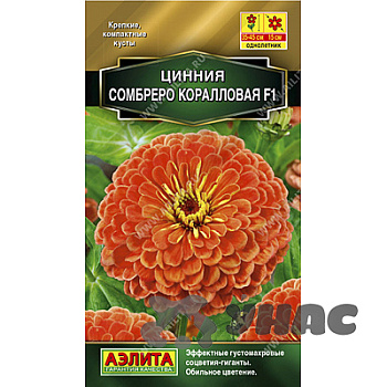 Циния Сомбреро коралловая Аэлита Цх10 