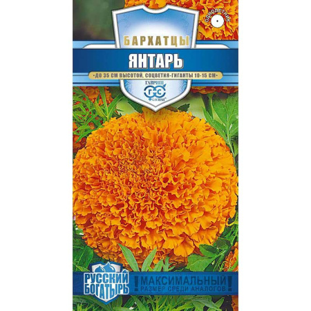 Бархатцы Янтарь Гавриш Ц 