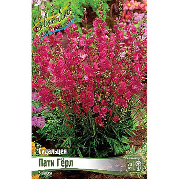 8606 Биг-пак Сидальцея Пати Гёрл I 25 шт