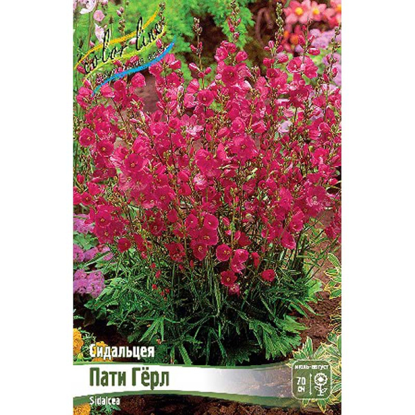 8606 Биг-пак Сидальцея Пати Гёрл I 25 шт