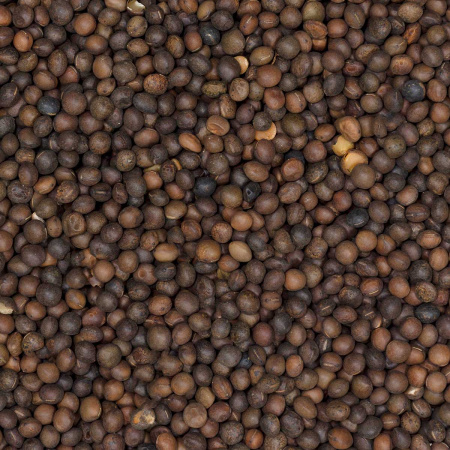 Вика яровая 0,5кг СВТ (20/1000)