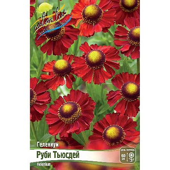 Гелениум Руби Тьюсдей I 1 шт