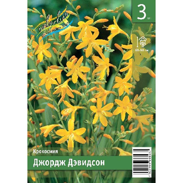 Крокосмия Джордж Дэвидсон 8/+ 3 Эконом шт