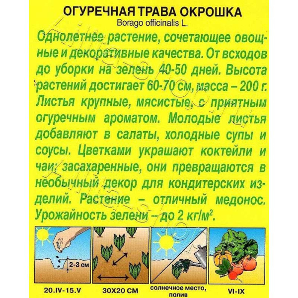 Семена Огуречная трава Окрошка Аэлита Цх10