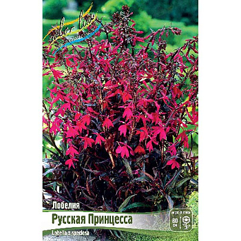 Лобелия Русская Принцесса I 1 шт