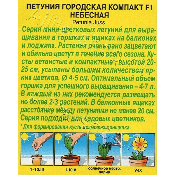 Петуния Городская компакт небесная Аэлита 