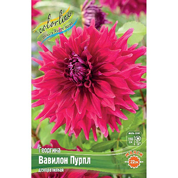 Георгина Вавилон Пурпл I 1 шт