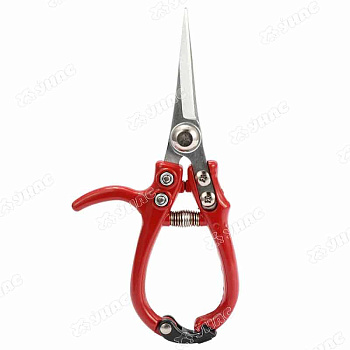 Ножницы цветочные (HD740) (100)