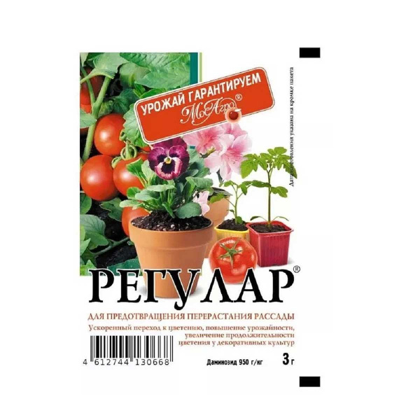 Регулар 3г (от перерастания) (МосАгро)  х70 