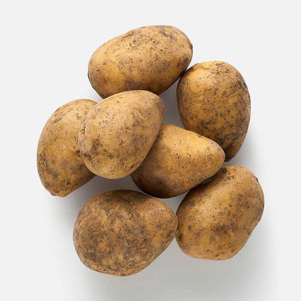 Картофель Королева Анна Элита 2кг +/-5% (цена за 10 сеток) Седек