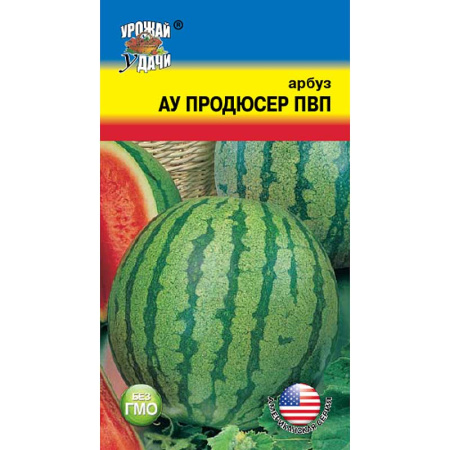 Арбуз Продюсер Урожай у дачи