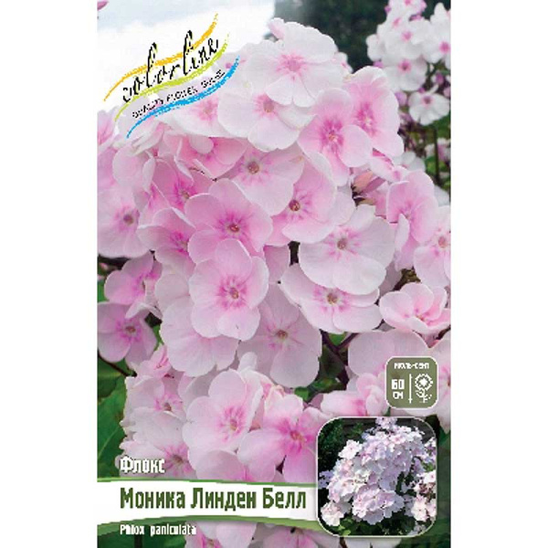 Флокс Моника Линден Белл I 25 шт Биг-Пак 367