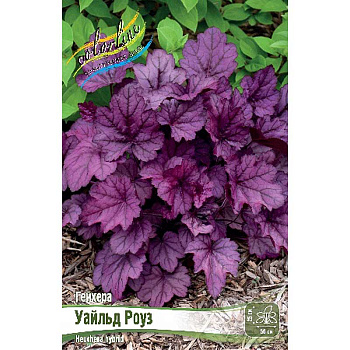Гейхера Уайльд Роуз I 25 шт Биг-Пак 14594 