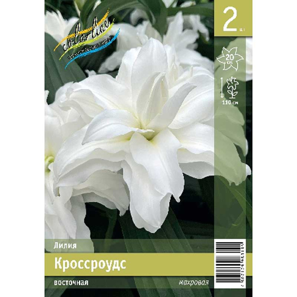 Лилия Кроссроудс 12/14 2 Эконом шт