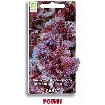 Салат Робин Поиск Ц