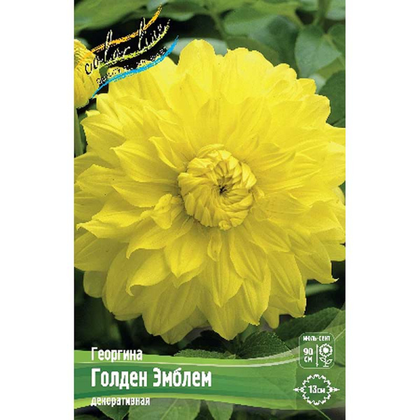Георгина Голден Эмблем I 15 шт Шоу-бокс 9534