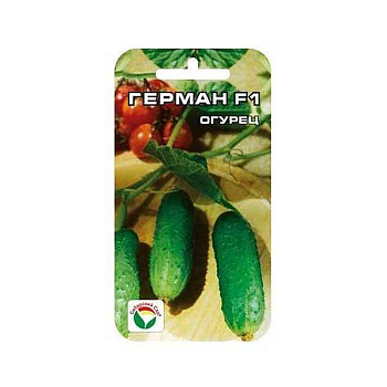 Огурец Герман СибСад Ц